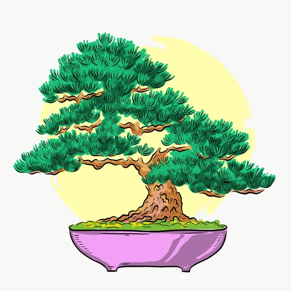 Bonsai i en kruka. Mini Tree. Färg illustration. Bonsai japanskt träd. Vektor isolerad på vit bakgrund. — Stock vektor