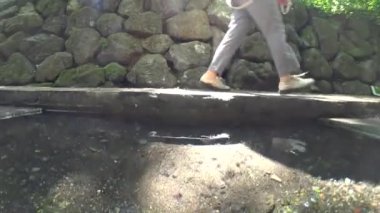 Shizuoka, Japonya-Haziran 3,2018: Kakitagawa Park Shizuoka İli Mt. Fuji bahar su ünlüdür.