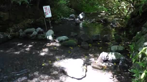 Shizuoka Japón Junio 2018 Parque Kakitagawa Prefectura Shizuoka Famoso Por — Vídeo de stock