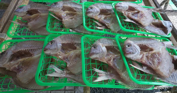 2018年6月3日 在新马祖港的鱼市场出售的干海鱼或鱼 — 图库照片
