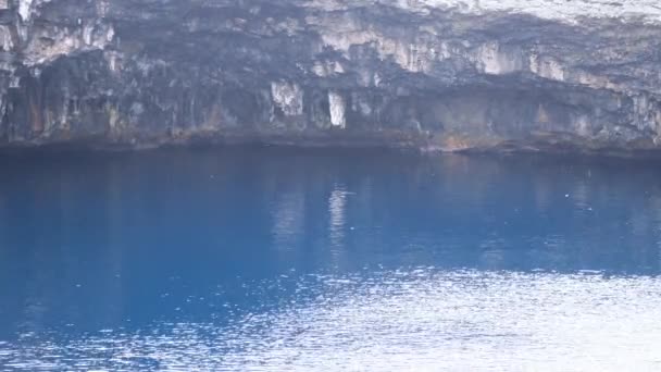 2018 下地島で青穴である鳥の池で泳ぐ海亀 水温躍層による池の変化の色 — ストック動画