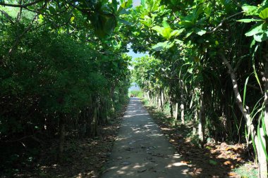 Okinawa, Japan-Temmuz 7, 2018: Yolu Tori Ike, Shimoji Adası'nda mavi bir delik. İki göl oluşur. Renk değişiklikleri nedeniyle thermocline. 
