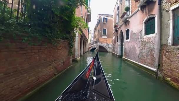 Venecia Italia Julio 2018 Vista Venecia Desde Una Góndola — Vídeo de stock