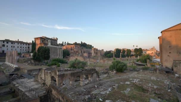 Roma Italia Julio 2018 Foro Romano Temprano Mañana Verano — Vídeos de Stock