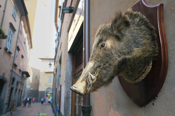 Orvieto Italy July 2018 Ornament Wild Boar Street Orvieto Italy — Stock Photo, Image