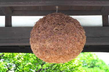 Tokyo, Japonya-Ağustos 26, 2018:Sugidama veya dal Japonca sedir, iyiliği breweries, tipik süsleme yapılmış bir top