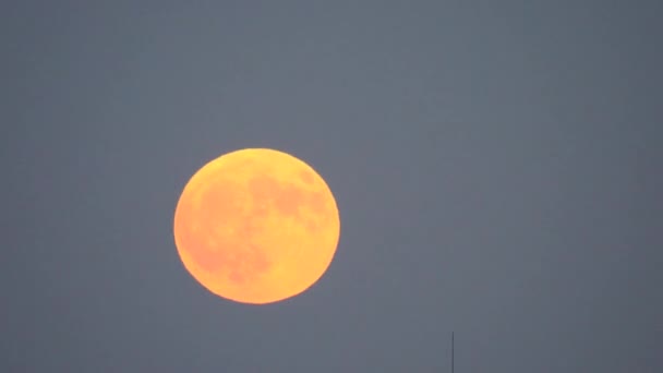 Live Action Aircraft Departed Haneda Airport Passes Front Full Moon — Stok video