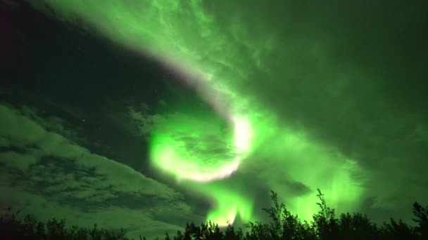 Realistica Aurora Boreale Tempo Reale Non Timelapse Whitehorse Canada Alle — Video Stock