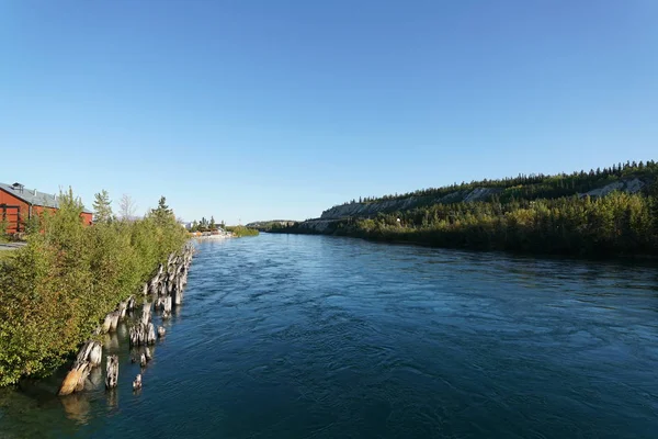 Whitehorse Canadá Septiembre 2018 Río Yukón Fluye Whitehorse Canadá Septiembre — Foto de Stock