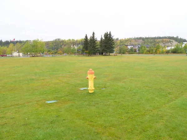 Whitehorse Canadá Septiembre 2018 Lonely Yellow Fire Hydrant Parque Whitehorse — Foto de Stock