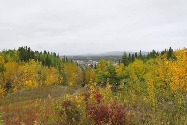 Whitehorse Canadá Septiembre 2018 Vista Whitehorse Airport Trail — Foto de Stock