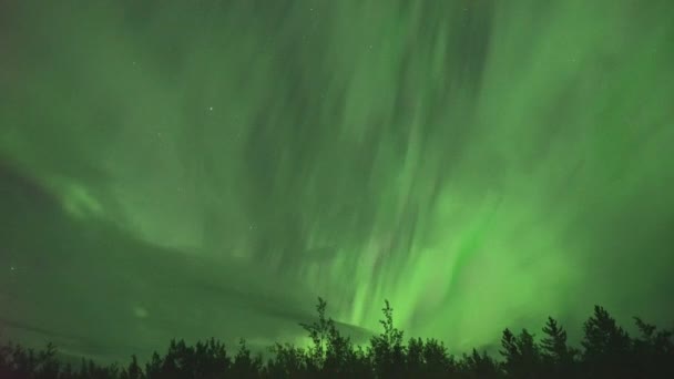 Realistische Real Time Niet Timelapse Aurora Borealis Noorderlicht Whitehorse Canada — Stockvideo