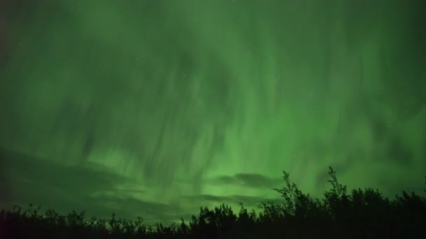 Realistické Reálném Čase Nikoli Timelapse Polární Záře Northern Lights Whitehorse — Stock video