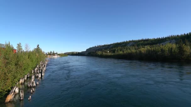 Whitehorse Canadá Setembro 2018 Yukon River Flui Whitehorse Canadá Setembro — Vídeo de Stock