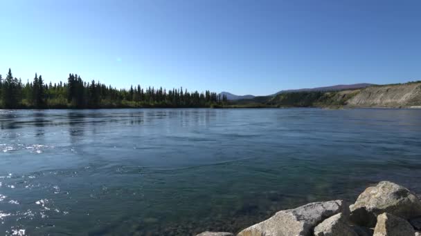 Whitehorse Kanada September 2018 Sungai Yukon Mengalir Whitehorse Kanada Pada — Stok Video