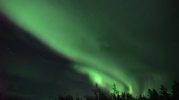 Realistische Real Time Niet Timelapse Aurora Borealis Noorderlicht Whitehorse Canada — Stockvideo