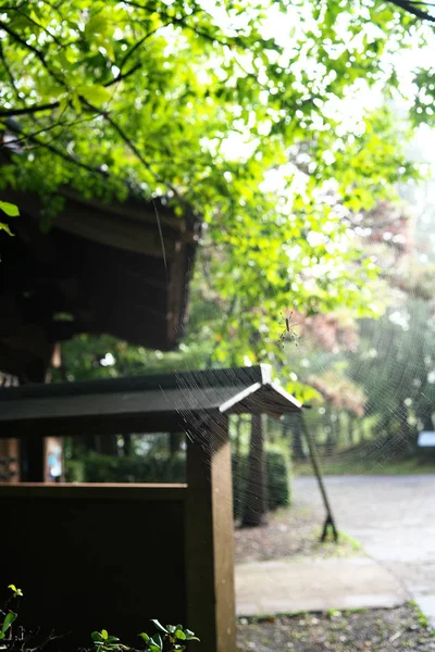 Tokio Japón Octubre 2018 Una Telaraña Cerca Puerta Vieja Casa — Foto de Stock