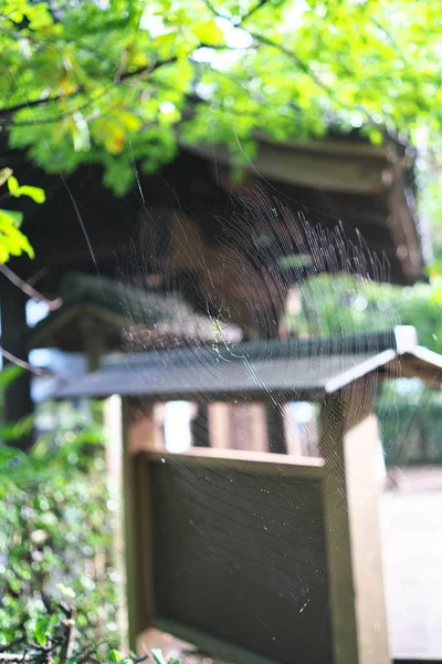 Tokyo,Japan-October 6, 2018: A spiderweb near Japanese old house gate early in the morning