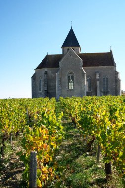 Chablis, Fransa-Ekim 16, 2018: bağ Güz, Chablis, Bourgogne, Fransa