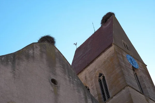 Eguisheim Frankrijk Oktober 2018 Stork Nest Parish Church Peter Paul — Stockfoto