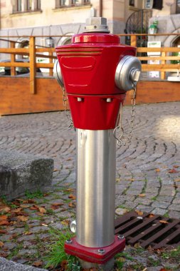 Reims, Fransa-Ekim 10,2018: Gargoyles Notre-Dame Katedrali veya Our Lady Reims, Reims, Fransa