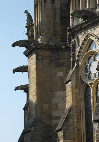 Reims Fransa Ekim 2018 Gargoyles Notre Dame Katedrali Veya Our — Stok fotoğraf
