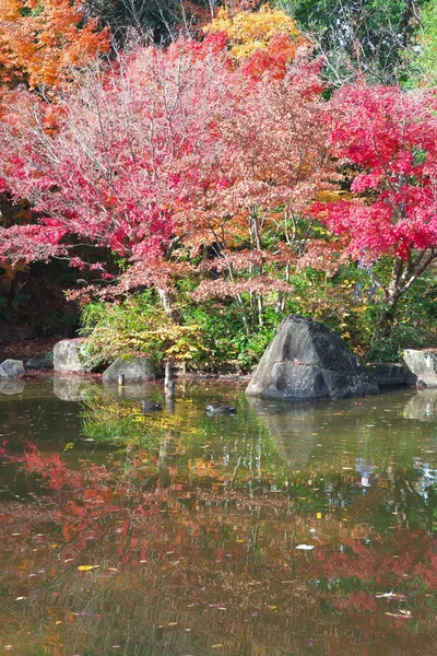 Tokio Japonia Listopad 2018 Japoński Ogród Wczesną Zimą Tokio — Zdjęcie stockowe