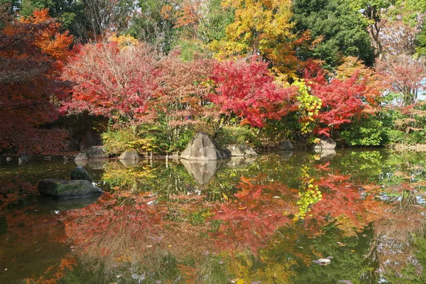 Tokyo Japan November 2018 Een Japanse Tuin Vroege Winter Tokio — Stockfoto