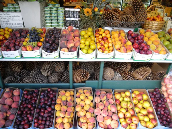 クイーンズタウン ニュージーランド 2010 ニュージーランドの果物屋さんで販売されて非常に大きな松ぼっくり — ストック写真