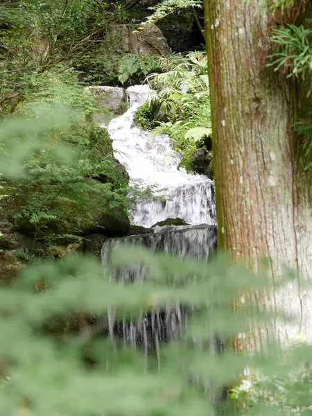 Kyoto Japón Septiembre 2015 Shugakuin Imperial Villa Shugakuin Rikyu Kyoto —  Fotos de Stock