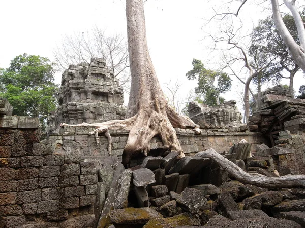 Siem Reap Camboya Marzo 2008 Edificios Dañados Templo Prohm Siem —  Fotos de Stock