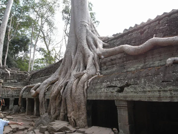 Siem Reap Camboya Marzo 2008 Edificios Dañados Templo Prohm Siem —  Fotos de Stock