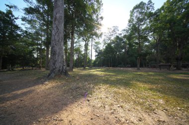 Siem Reap, Kamboçya-11, Januay 2019: Doğu Kapısı Bayon, Angkor Thom, Siem biçmek