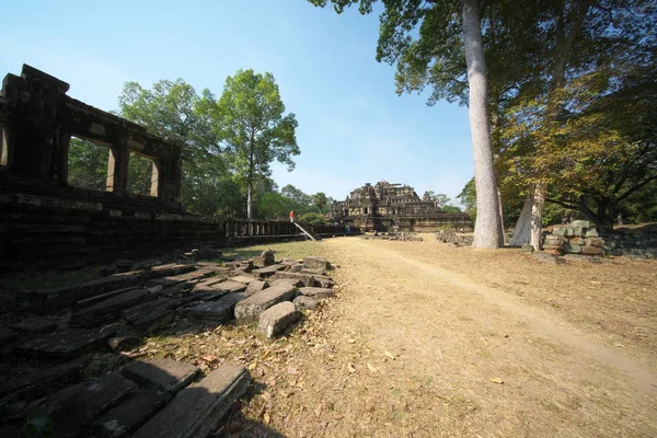 Siem Reap Kambodża Stycznia 2019 Blossoming Angkor Thom Siem Reap — Zdjęcie stockowe