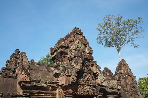 Siem Reap Camboya Enero 2019 Relieves Banteay Srei Siem Reap —  Fotos de Stock