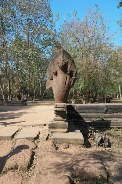 Siem Reap Camboya Enero 2019 Las Intrincadas Balaustradas Naga Talladas — Foto de Stock