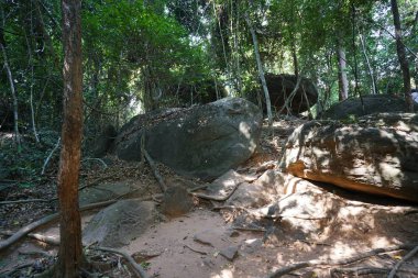 Siem Reap, Kamboçya-Ocak 9, 2019: Kbal Spean Siem Reap, Kamboçya'da karşı dik dağ yolu