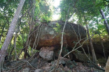 Siem Reap, Kamboçya-Ocak 9, 2019: Kbal Spean Siem Reap, Kamboçya'da karşı dik dağ yolu