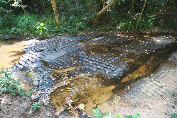 Siem Reap Camboya Enero 2019 Lingas Esculturas Kbal Spean Siem — Foto de Stock