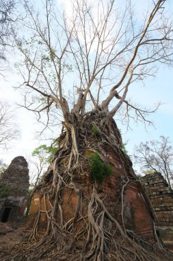Siem Reap, Kamboçya-Ocak 10, 2019: Prasat arabası içinde Koh Ker içinde Siem Reap, Kamboçya