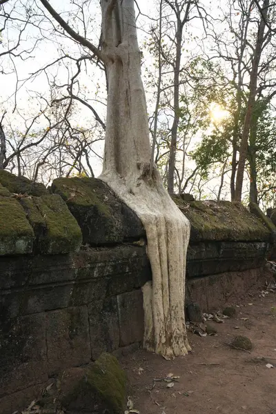 Siem Reap Camboja Janeiro 2019 Prasat Pram Koh Ker Siem — Fotografia de Stock