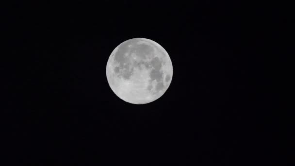 Tokyo Japan February 2019 Super Moon Observed Tokyo 4Am February — Stock Video