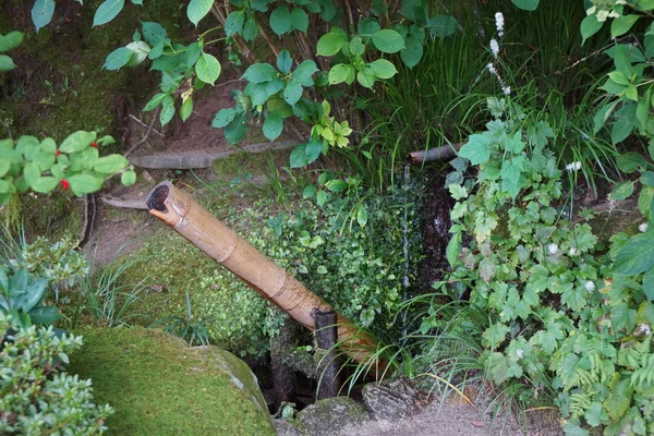 Kyoto Japon 1Er Octobre 2015 Odoshi Shishi Dans Jardin Temple — Photo