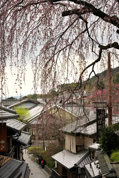 2019年3月23日 2019年3月23日 在京都的尼尼恩扎卡的看法在京都上午 — 图库照片
