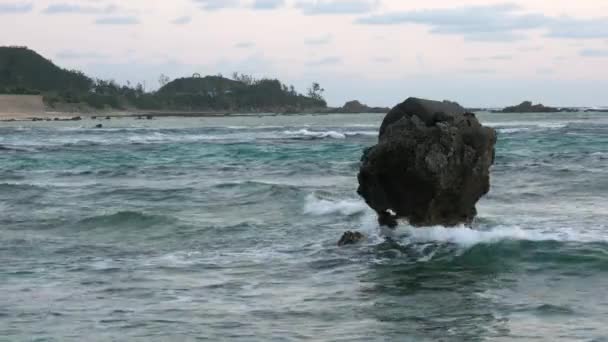 Amami Oshima Japan April 2019 Tomori Strand Amami Oshima Kagoshima — Stockvideo