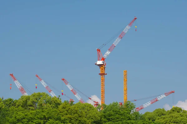 Tokio Japonia Maja 2019 Żurawie Wieżowe Tle Błękitnego Nieba — Zdjęcie stockowe