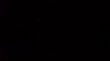 Okinawa, Japonya-30 Mayıs 2019: (canlı eylem) Ishigaki adasında Fireflies veya Glowflies veya yıldırım böcek, Okinawa, Japonya.