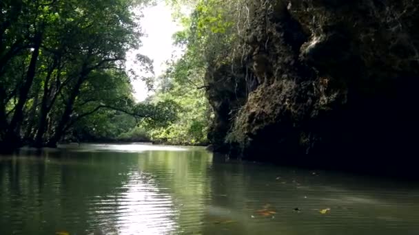 Okinawa Japón Junio 2019 Bosques Manglares Largo Del Río Miyara — Vídeo de stock