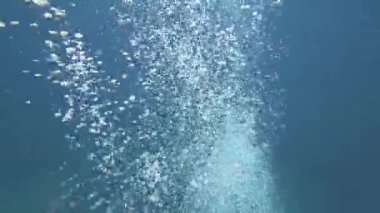 Okinawa, Japonya-Haziran 1, 2019: Ishigaki Adası, Okinawa yakın Scuba dalgıçlar Bubbles. 
