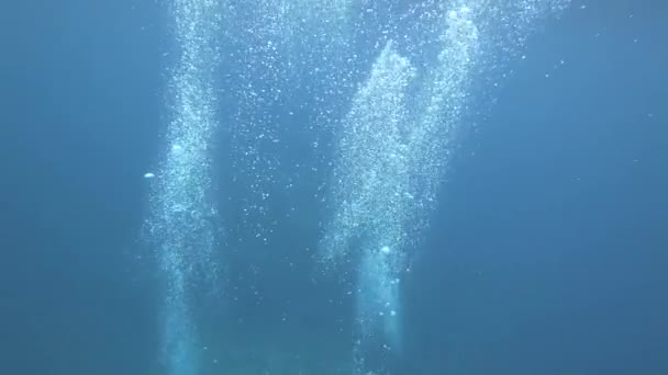 2019年6月1日 冲绳石岐岛附近潜水员的泡泡 — 图库视频影像